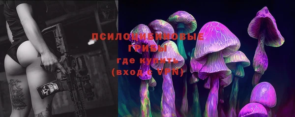 МДПВ Володарск