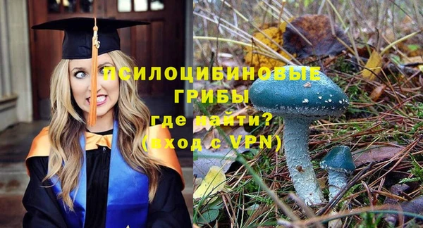 дмт Вязники