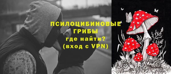 МДПВ Володарск