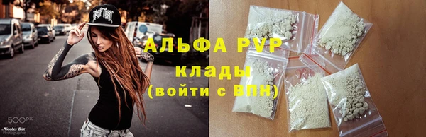 соль ск Волосово